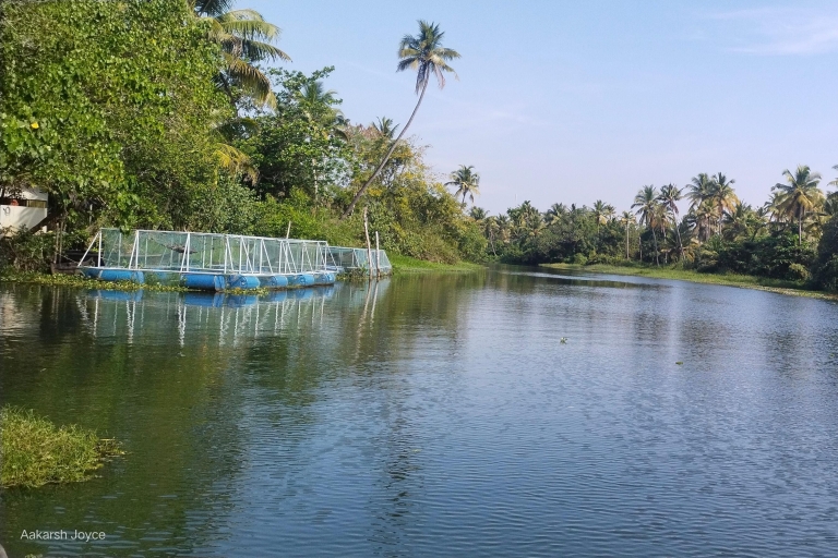 Backwater-Kreuzfahrt, Tuchweberei, Kokosspinnerei, Mittagessen in KeralaMurinjapuzha Cruise Tour mit 3 oder 4 Personen reist im Taxi.