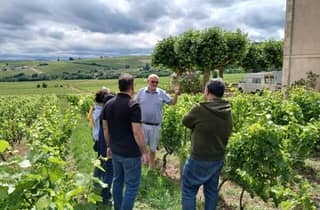 Von Lyon aus: Beaujolais Weinstraße Halbtagestour