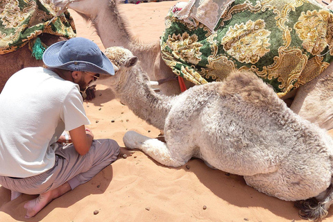 Agadir: Mini Sahara 4x4 Jeep Safari with Berber Lunch PICK UP FROM AGADIR