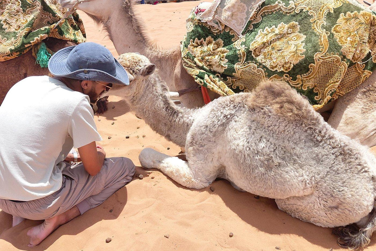 Agadir: Mini Sahara 4x4 Jeep Safari with Berber Lunch PICK UP FROM AGADIR