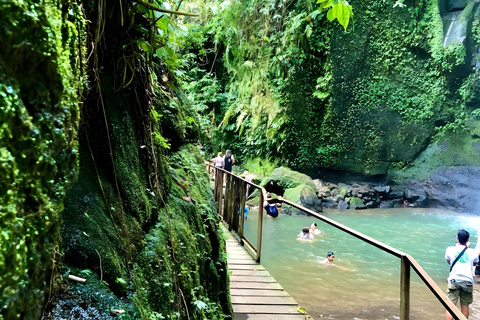 Ubud: Tour privato di templi, cascate e terrazze di risoTour di mezza giornata privato di Ubud 5-6 ore