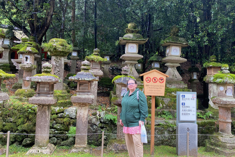 From Kyoto/ Osaka: Nara Day Tour with Guide & Vehicle Regular Car (Up to 2 PAX)