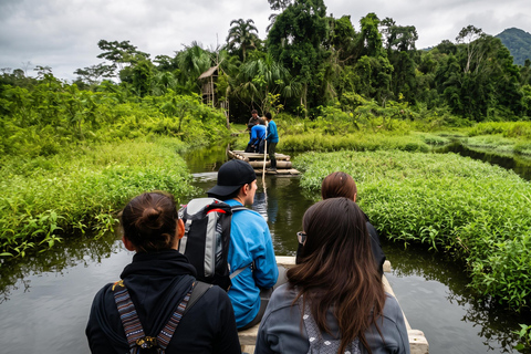 From Cusco: Manu National Park 4-Day Wildlife Expedition