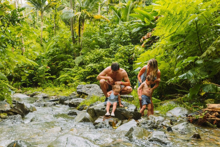 San Juan: El Yunque Rainforest Guided Hike with Swimming