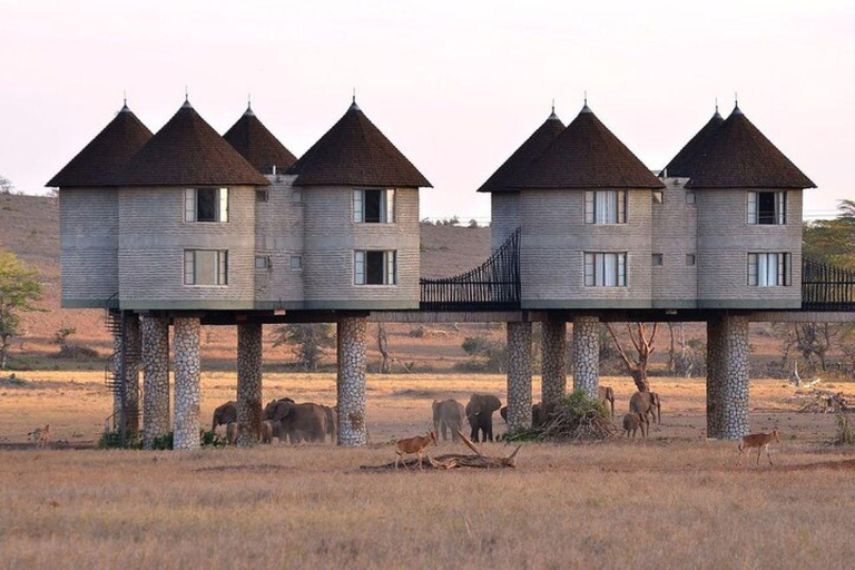 Ovenluchtsafari naar Saltlick vanuit Mombasa/Diani