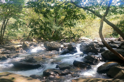 Goa: SIC Dudhsagar Waterfall and Spice Plantation Day Tour