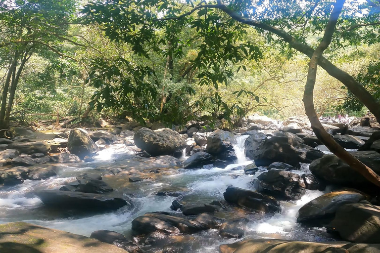 Goa: SIC Dudhsagar Waterfall and Spice Plantation Day Tour