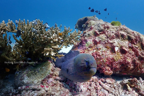 Khao Lak: Surinaamse eilanden snorkeltour met Moken dorp