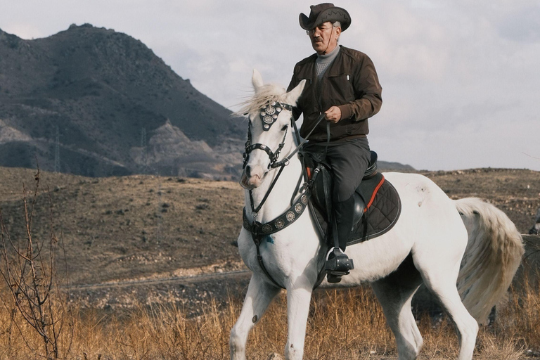 Phoenix: Cowboy Horseback Ride Experience