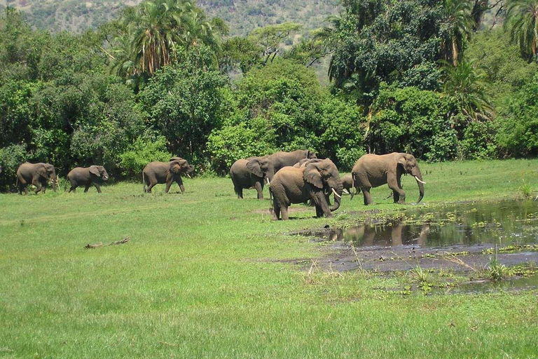 3 Day Safari in Akagera National Park