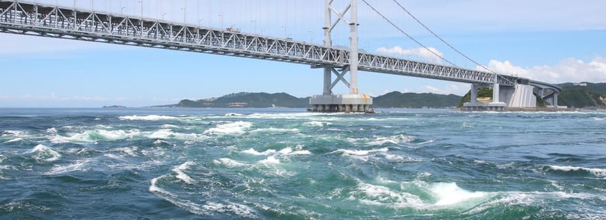 Tokushima : excursion privée à terre de 7 heures pour les croisiéristes