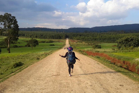 Addis Ababa: Menagesha Suba Forest Nature Escape