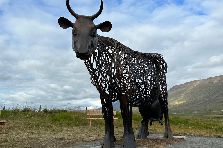 Akureyri: Museum Entry Tickets - one ticket 7 museums