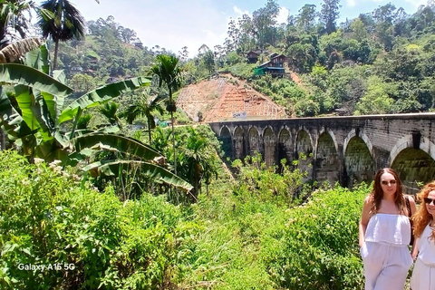 ELLA Lipton Seat Tea Test & Pluck 9Arch, Waterfalls, & Food Lipton's Seat, Little Adam Peak, 9 Arch, Ravana Waterfalls