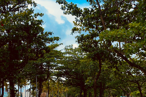 Río de Janeiro: Recorrido en bicicleta por el centro de la ciudad y la costa