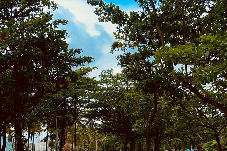 Río de Janeiro: Recorrido en bicicleta por el centro de la ciudad y la costa