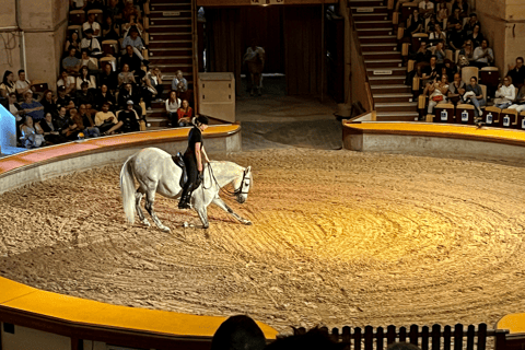 Great Stables of Prince de Conde & Palace Chantilly Private tour