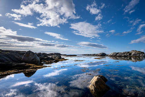 From Tromsø: Experience Vannøya Island Wild, Remote & Real