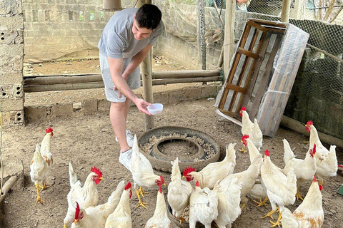 Hanoi: Mai Chau, Pu Luong, and Ninh Binh 3-Day Tour