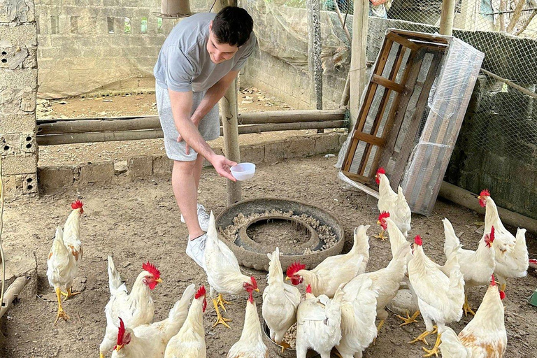 Hanoi: Mai Chau, Pu Luong, and Ninh Binh 3-Day Tour