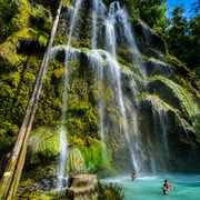 From Cebu: Oslob Whale Shark, Tumalog Falls & Sumilon Island