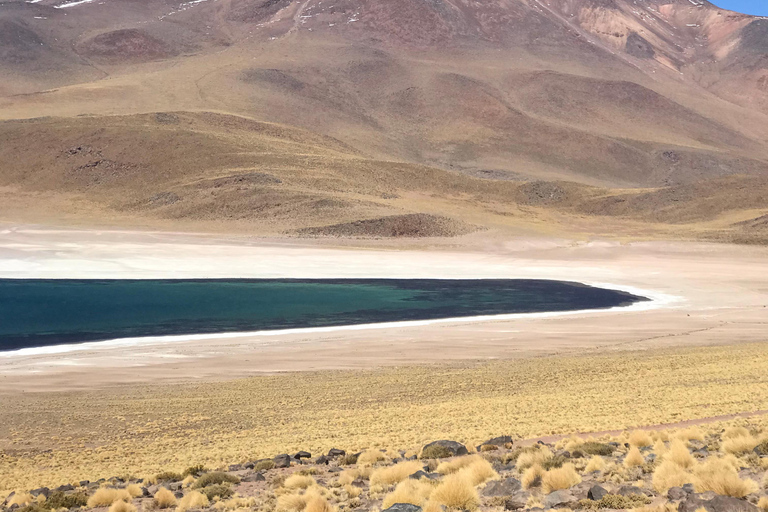 San Pedro de Atacama: 3-dagars aktivitetskombination med 4 turer