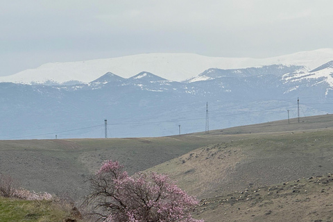 From Yerevan: Lake Sevan & Dilijan Small-Group Day Trip Private Lake Sevan & Dilijan Small-Group Day Trip