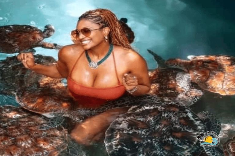 Zanzibar: Mnemba Dolphins Snorkel & Baraka Aquarium Turtles Hotel transfers anywhere in Zanzibar