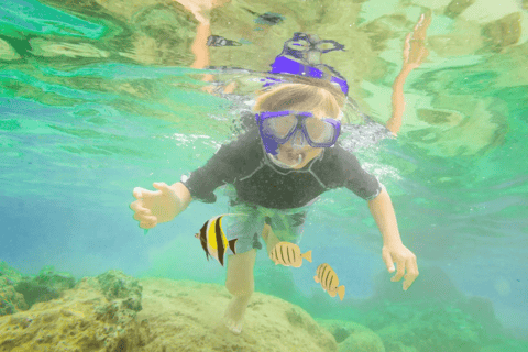 巴厘岛图兰本：自由号沉船浮潜和皮划艇一日旅行巴厘岛：图兰奔湾自由号沉船浮潜和皮划艇一日旅行