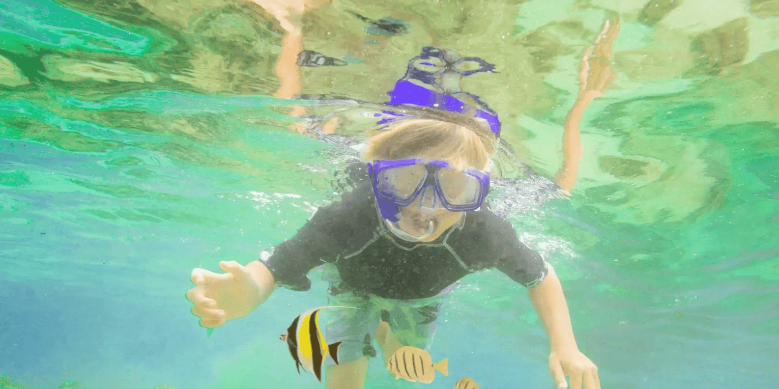 Bali snorkeling tour — underwater marine life and coral reefs — image 5