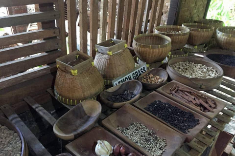 Bali: Caminhada ao nascer do sol no Monte Batur com fonte termal opcionalCaminhada no Monte Batur