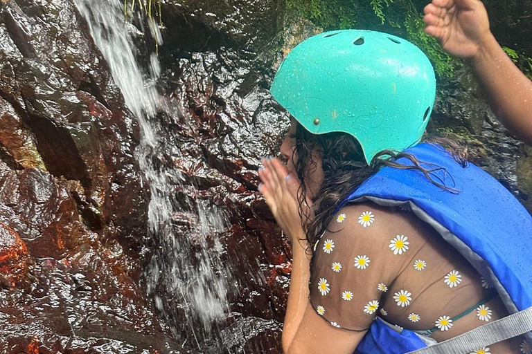 P-up/ San Juan: El Yunque Halbtagestour mit Transport