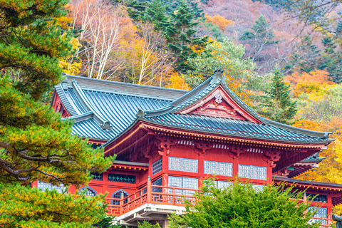 Tokyo: Nikko Kegon Falls Lake Chuzenji Toshogu Temple & More From Tokyo: Nikko Unesco Customised Private Tour In Prado