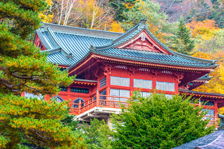Tokyo: Nikko Kegon Falls Lake Chuzenji Toshogu Temple & More From Tokyo: Nikko Unesco Customised Private Tour In Prado