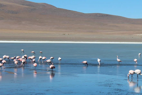 De San Pedro de Atacama al Salar de Uyuni 4 Días