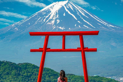 Visite guidée privée du Mont Fuji et de Hakone