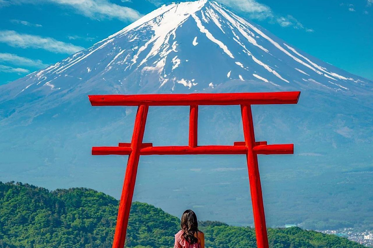 Excursión Privada Guiada por el Monte Fuji y Hakone