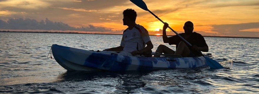 Excursion en kayak dans la mangrove