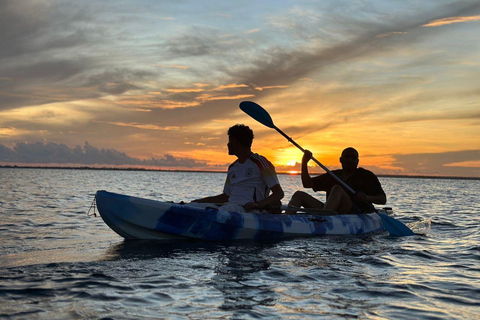 KajakmangroveturKajakpaddling i mangroveträsket
