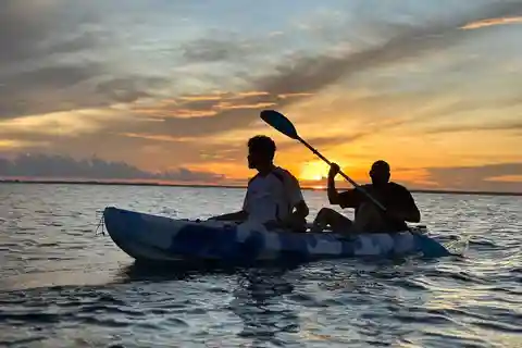 Kayak Mangrove Tour