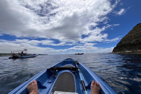Islet of Vila Franca do Campo - Kayak Rental and Snorkeling