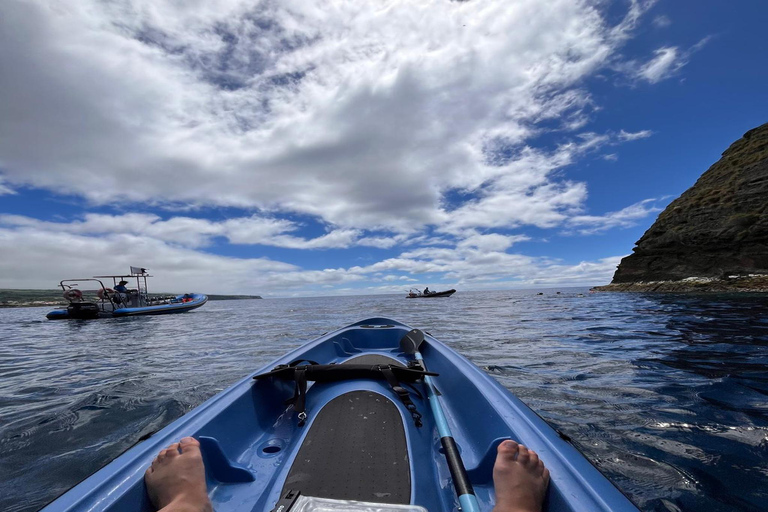 Islet of Vila Franca do Campo - Kayak Rental and Snorkeling