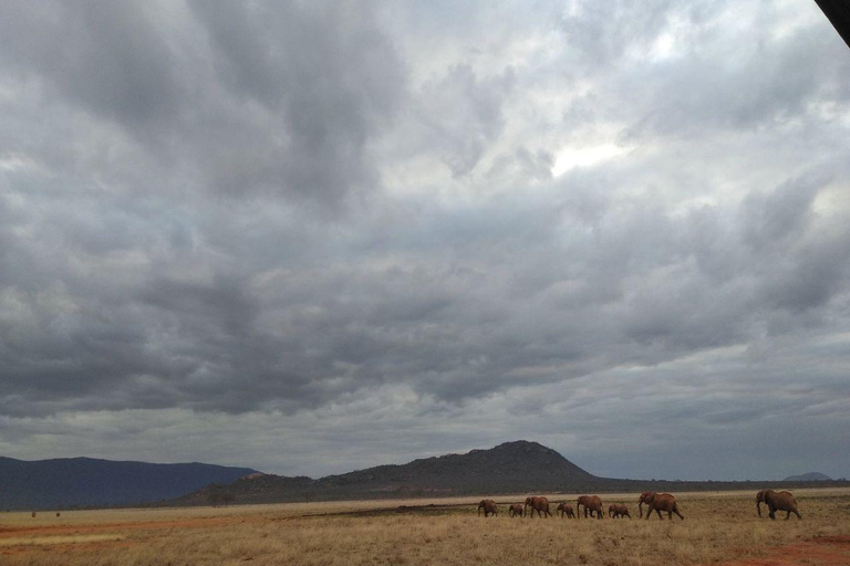Mombasa/Diani: 2-Day Tsavo East Safari with Meals Private day tour to Tsavo East National Park - VAN