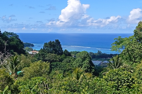 Mahé: Guided Island Tour