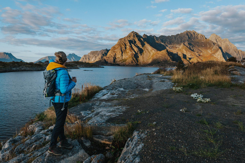 Visite touristique des Lofoten : visite d&#039;une demi-journée