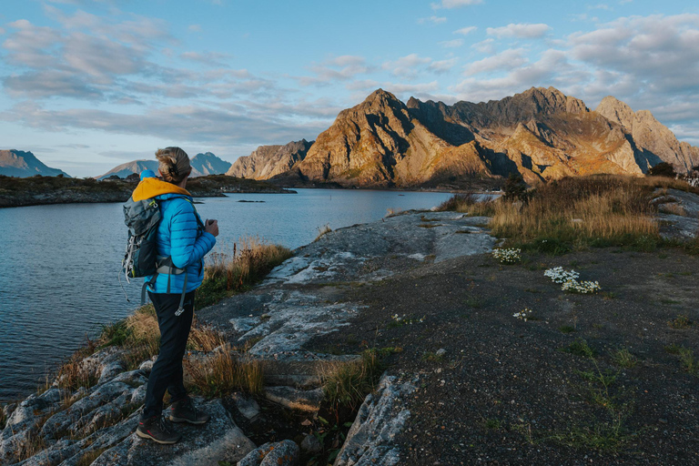 Visite touristique des Lofoten : visite d&#039;une demi-journée
