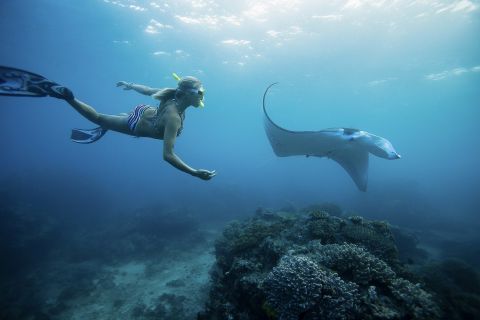 Vanaf Bali: zwemmen met mantaroggen in Nusa Penida