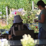 Half-Day Wine and Sights Discovery Tour Busselton