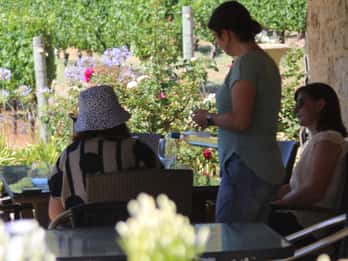 Half day Wine and Sights Discovery Tour Busselton
