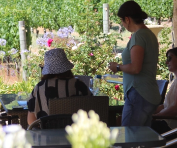 Half day Wine and Sights Discovery Tour Busselton